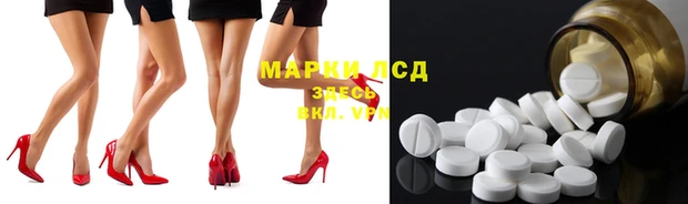 мяу мяу мука Абаза