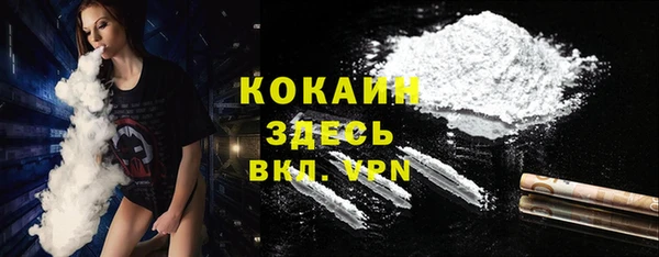 мяу мяу мука Абаза