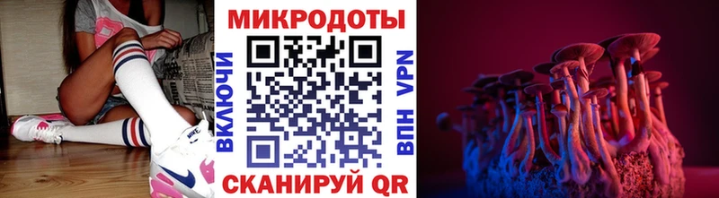 Псилоцибиновые грибы Psilocybe  наркота  Аксай 